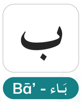 Baa (ب) — Special Quranic Alphabet Tajweed Rules