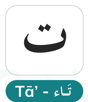 Taa (ت) — Distinguishing It from Its Emphatic Counterpart