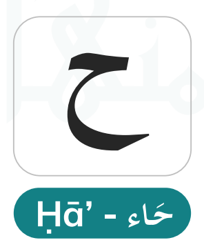 Haa (ح) — The Pharyngeal Letter That Requires Breath Control