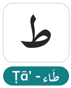 Taa Emphatic (ط) — Distinguishing It from Regular Taa in Quranic Text