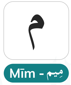 Meem (م) — Ghunnah, Idghaam Shafawi, and Its Morphological Significance