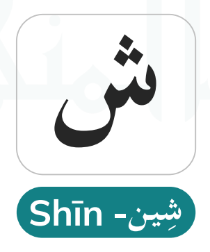 Sheen (ش) — The Palato-Alveolar Fricative in Quranic Roots