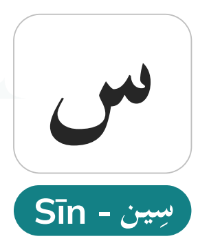Seen (س) — The Voiceless Sibilant and Ikhfaa Applications