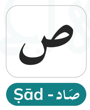Saad (ص) — An Emphatic Letter That Affects Surrounding Vowels