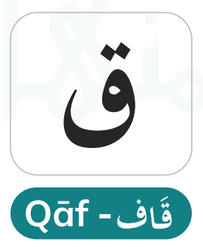 Qaaf (ق) — The Deep Velar Stop and Its Distinctive Quranic Sound