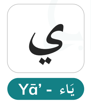 Yaa (ي) — Consonant, Long Vowel, and the Final Letter of the Alphabet