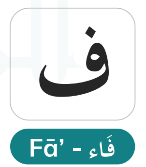 Faa (ف) — The Labiodental Fricative and Its Quranic Morphological Role