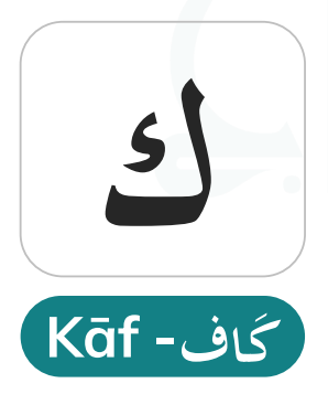 Kaaf (ك) — The Voiceless Velar Stop 