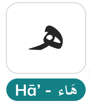 Haa (ه) — The Glottal Fricative and Its Role in Pronoun Suffixes