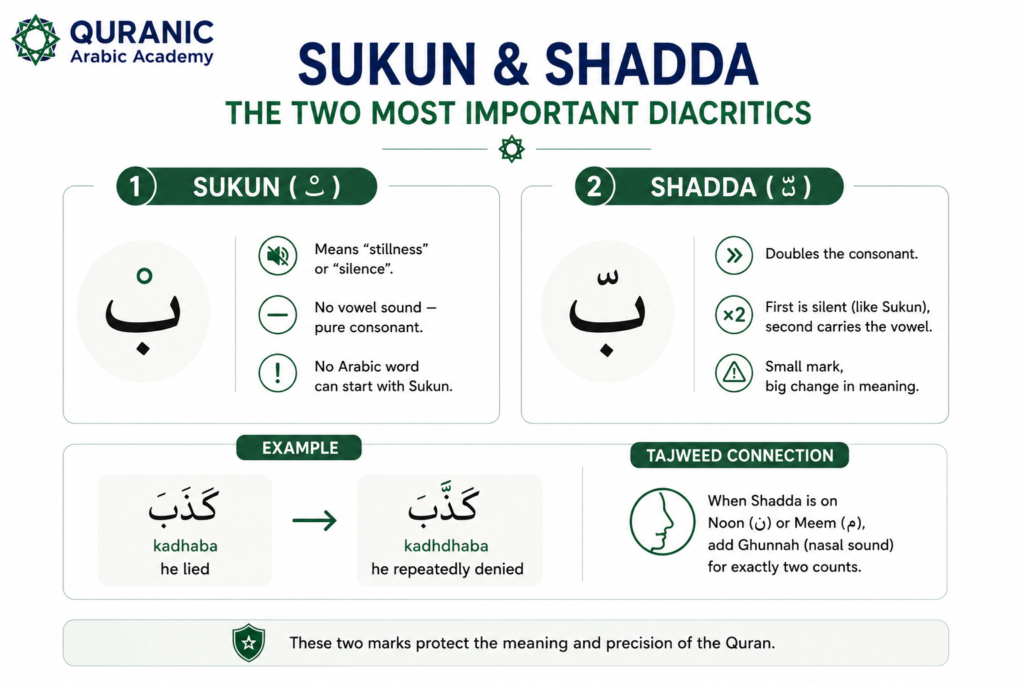 Quranic Arabic Diacritics: The Complete Guide to Harakat, Tashkeel, and Tajweed 3 image 13