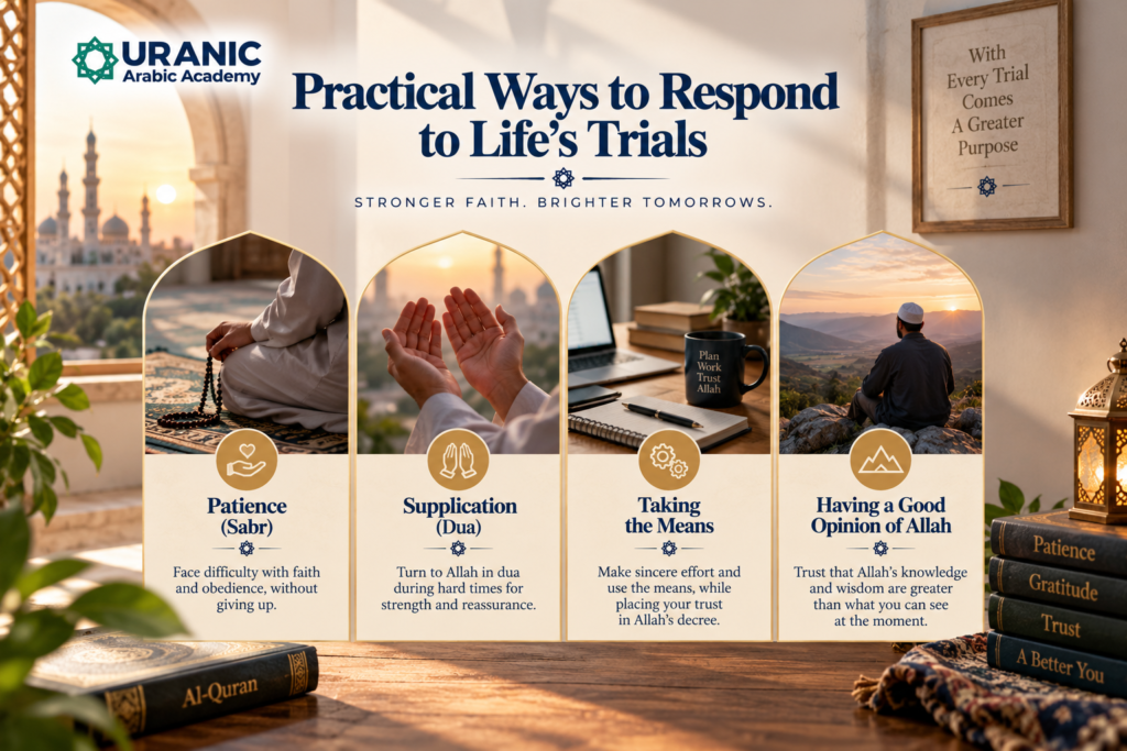 Quranic Quizzes 