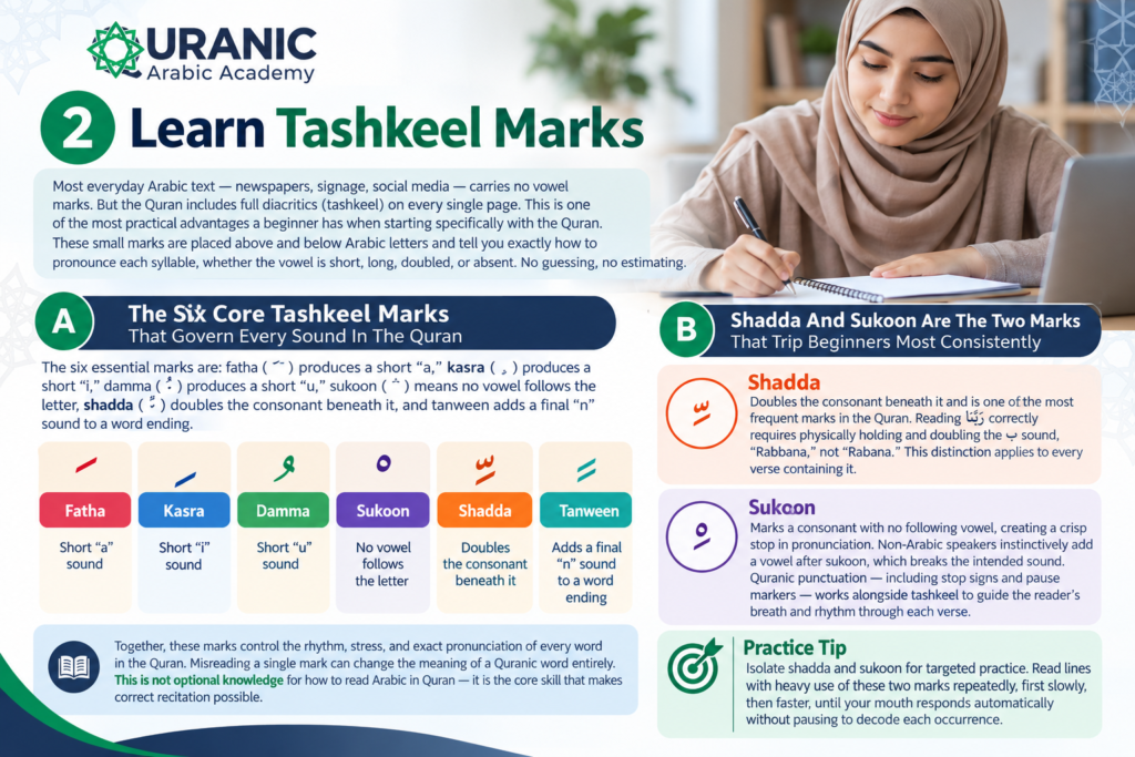 How To Read Arabic Quran? 8 Steps For Beginners 2 image 6